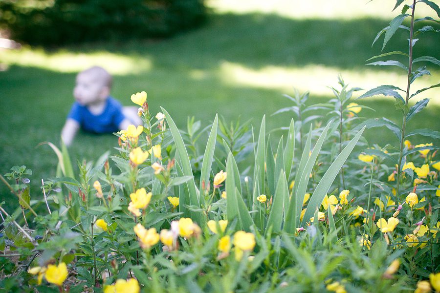 Baby Jackson portrait outside with flowers in foreground