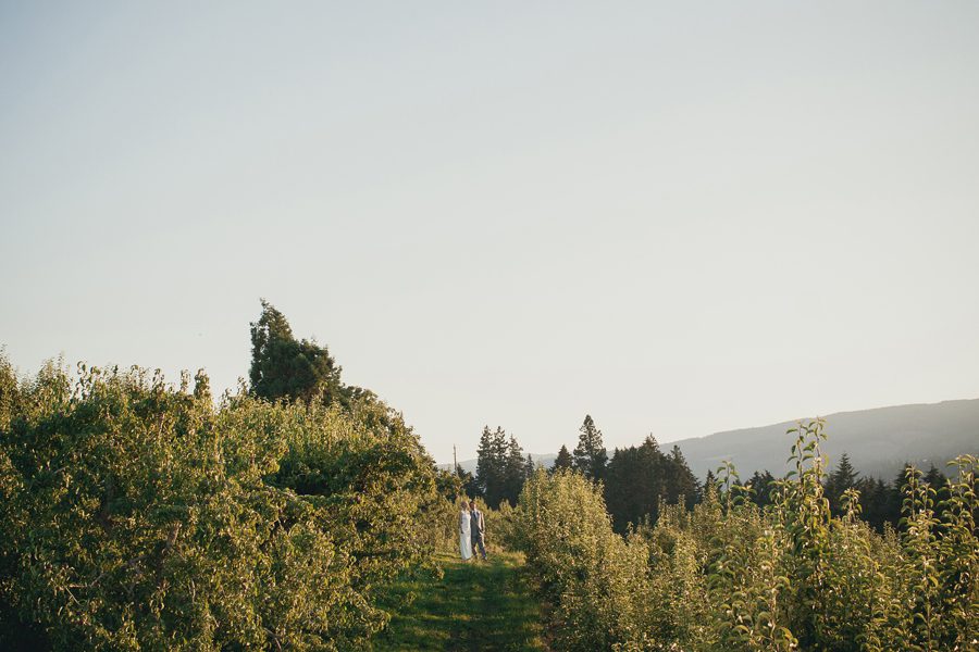 Bride and groom portrait in vineyard
