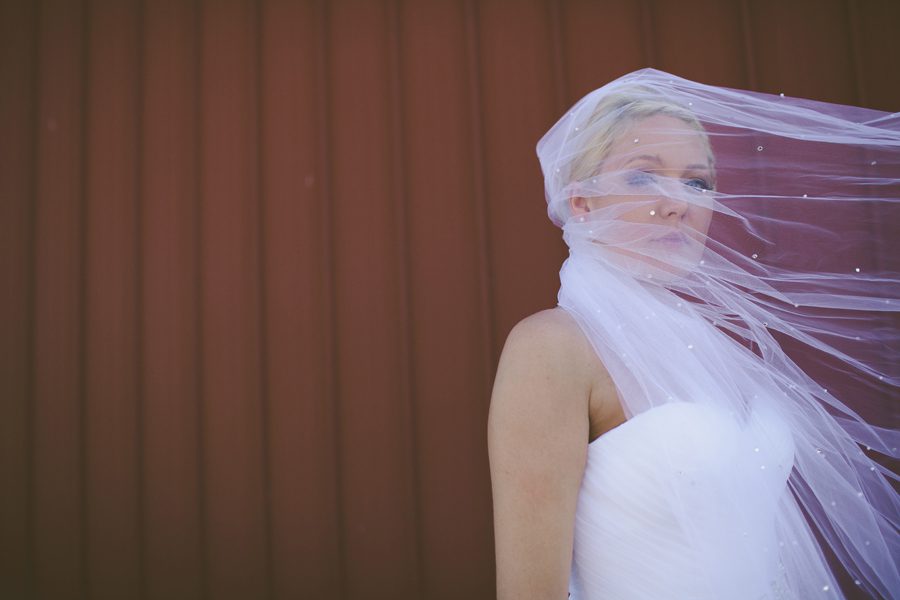 Bride and Veil