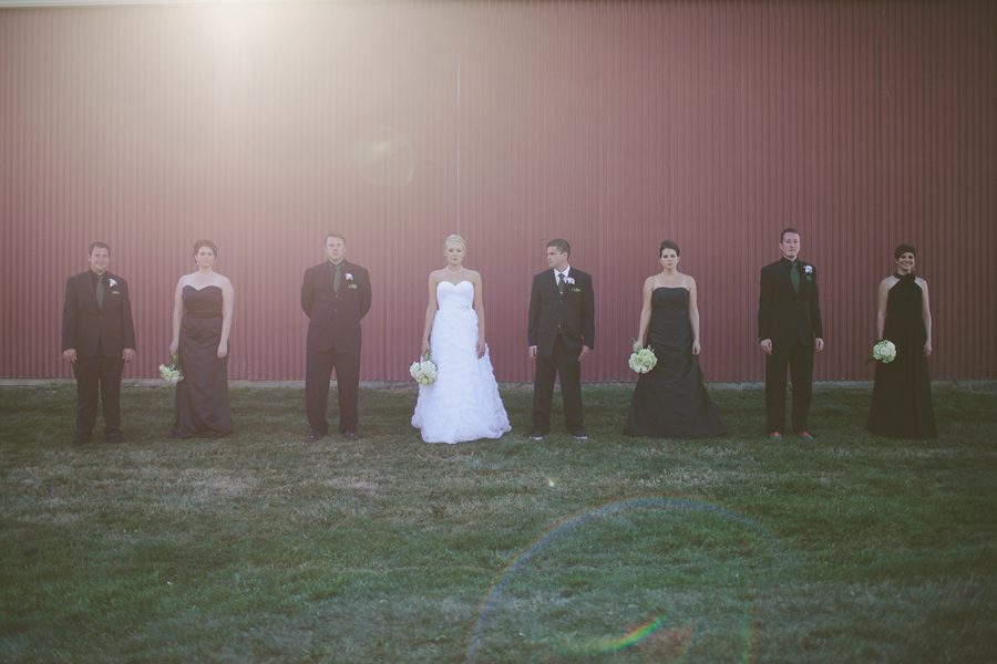 Wedding Party and Barn