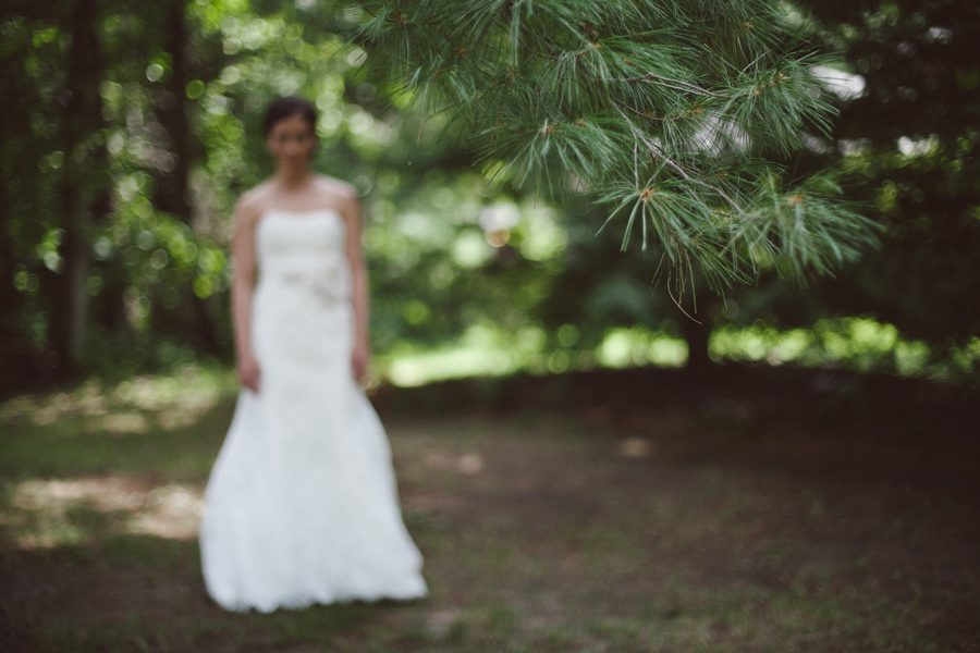 pine tree outdoor wedding Minnesota