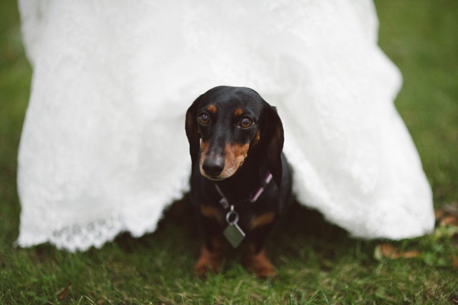 Lulu and wedding dress