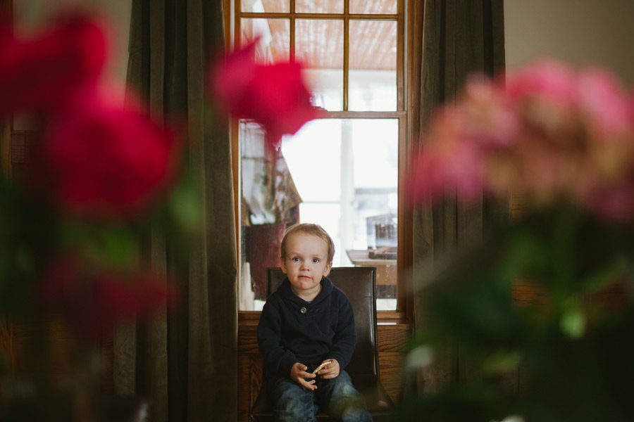 Flowers and Finn photo