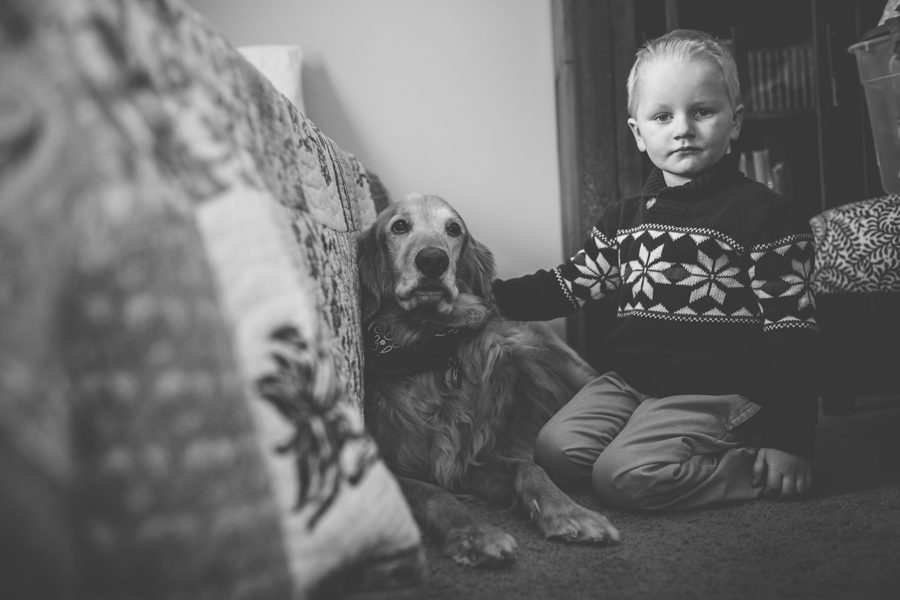 Minnetonka family photographer at home pet dog boys052