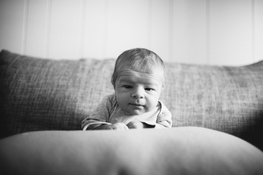 Minnetonka newborn lifestyle photography George
