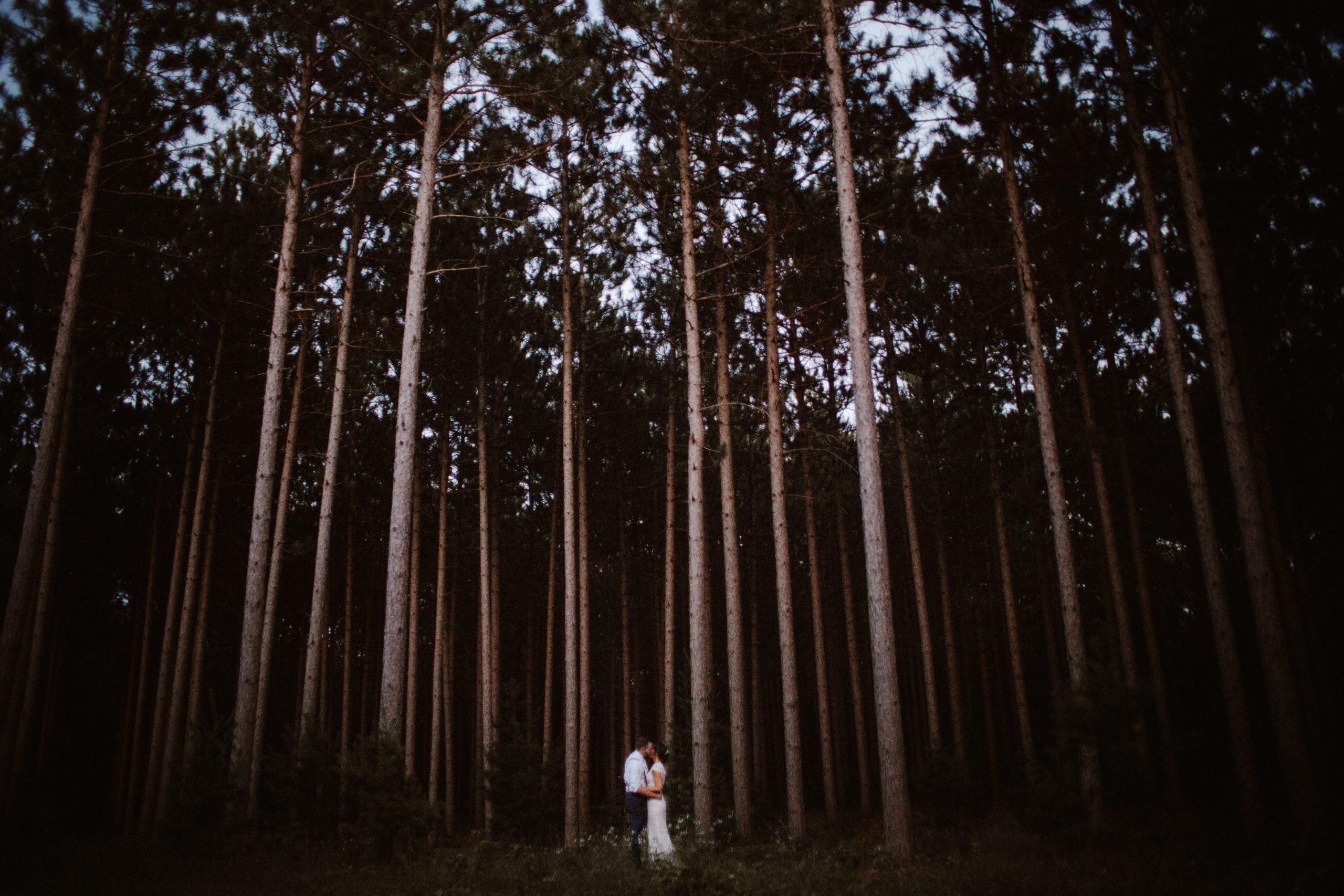 T Maxx Burlap Bells WI 699 of